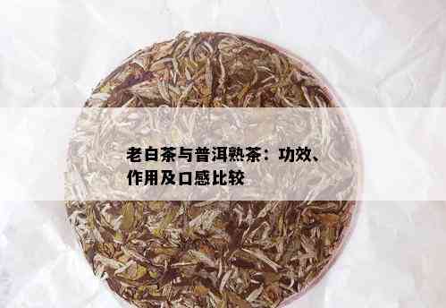 老白茶与普洱熟茶：功效、作用及口感比较