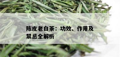 陈皮老白茶：功效、作用及禁忌全解析