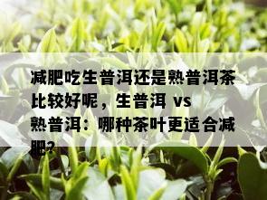 减肥吃生普洱还是熟普洱茶比较好呢，生普洱 vs 熟普洱：哪种茶叶更适合减肥？