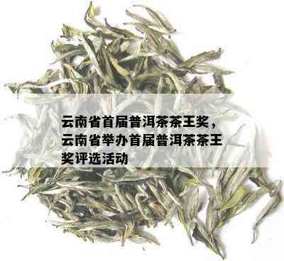 云南省首届普洱茶茶王奖，云南省举办首届普洱茶茶王奖评选活动