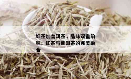 红茶加普洱茶，品味双重韵味：红茶与普洱茶的完美融合