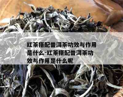 红茶搭配普洱茶功效与作用是什么-红茶搭配普洱茶功效与作用是什么呢