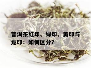 普洱茶红印、绿印、黄印与龙印：如何区分？