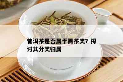 普洱茶是否属于黑茶类？探讨其分类归属