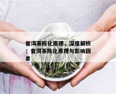 普洱茶陈化原理，深度解析：普洱茶陈化原理与影响因素