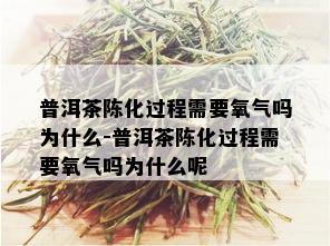 普洱茶陈化过程需要氧气吗为什么-普洱茶陈化过程需要氧气吗为什么呢