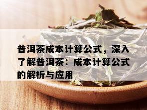 普洱茶成本计算公式，深入了解普洱茶：成本计算公式的解析与应用