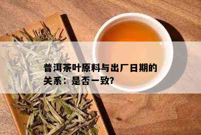 普洱茶叶原料与出厂日期的关系：是否一致？