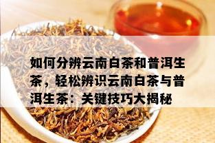 如何分辨云南白茶和普洱生茶，轻松辨识云南白茶与普洱生茶：关键技巧大揭秘