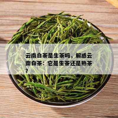 云南白茶是生茶吗，解惑云南白茶：它是生茶还是熟茶？