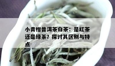 小青柑普洱茶白茶：是红茶还是绿茶？探讨其区别与特点