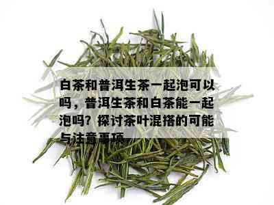 白茶和普洱生茶一起泡可以吗，普洱生茶和白茶能一起泡吗？探讨茶叶混搭的可能与注意事项