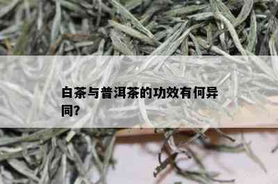 白茶与普洱茶的功效有何异同？