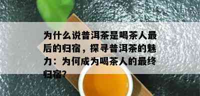 为什么说普洱茶是喝茶人最后的归宿，探寻普洱茶的魅力：为何成为喝茶人的最终归宿？