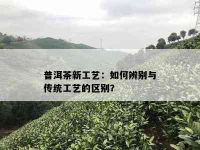 普洱茶新工艺：如何辨别与传统工艺的区别？