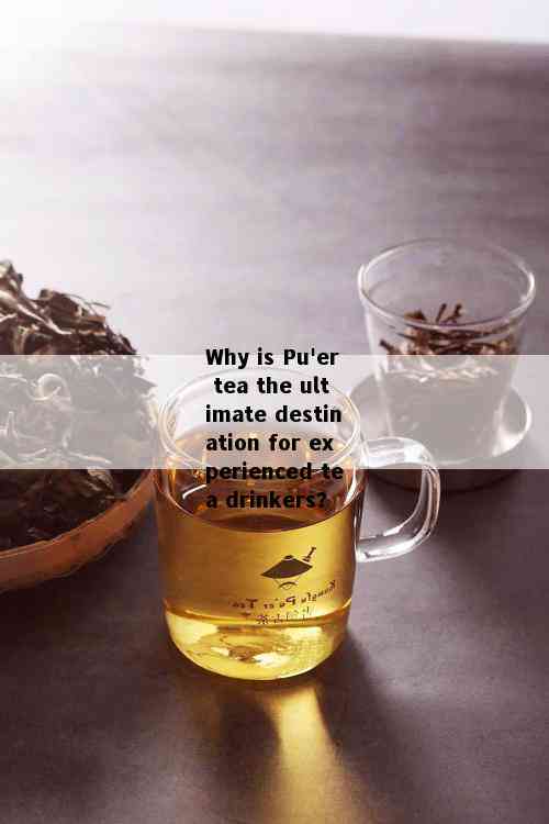 Why is Pu'er tea the ultimate destination for experienced tea drinkers?