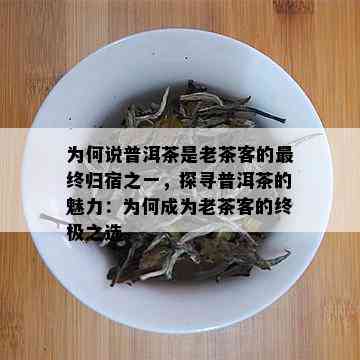 为何说普洱茶是老茶客的最终归宿之一，探寻普洱茶的魅力：为何成为老茶客的终极之选