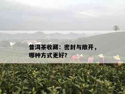 普洱茶收藏：密封与敞开，哪种方式更好？