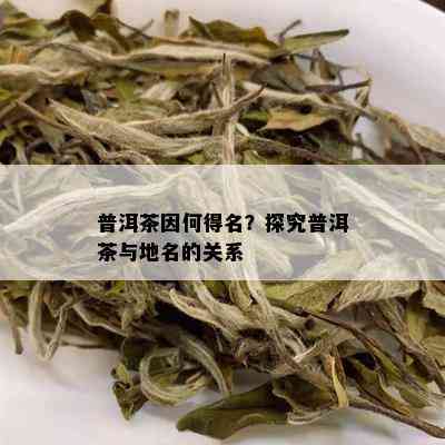 普洱茶因何得名？探究普洱茶与地名的关系