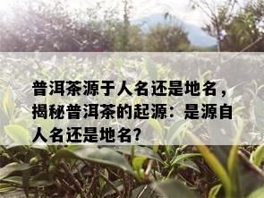 普洱茶源于人名还是地名，揭秘普洱茶的起源：是源自人名还是地名？