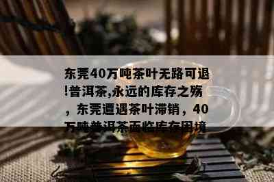 东莞40万吨茶叶无路可退!普洱茶,永远的库存之殇，东莞遭遇茶叶滞销，40万吨普洱茶面临库存困境