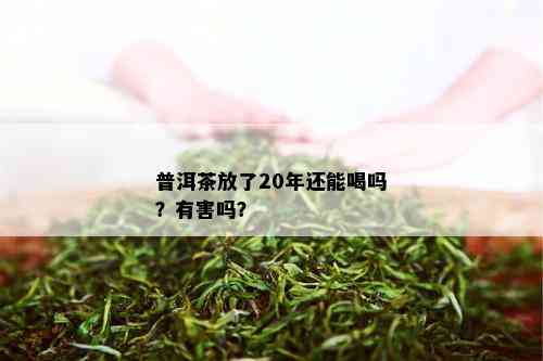 普洱茶放了20年还能喝吗？有害吗？