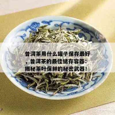 普洱茶用什么罐子保存更好，普洱茶的更佳储存容器：揭秘茶叶保鲜的秘密武器！