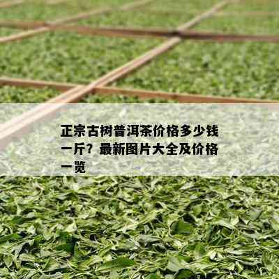 正宗古树普洱茶价格多少钱一斤？最新图片大全及价格一览