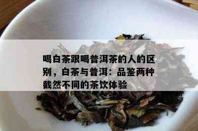 喝白茶跟喝普洱茶的人的区别，白茶与普洱：品鉴两种截然不同的茶饮体验