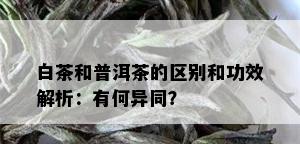 白茶和普洱茶的区别和功效解析：有何异同？