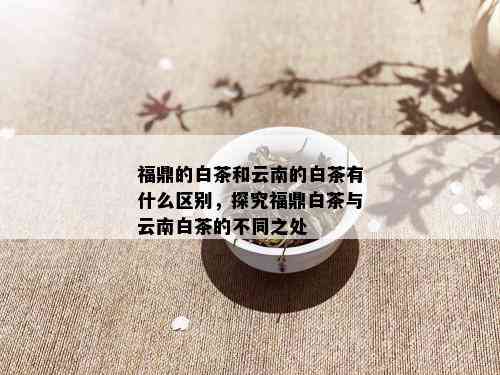 福鼎的白茶和云南的白茶有什么区别，探究福鼎白茶与云南白茶的不同之处