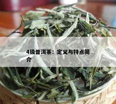 4级普洱茶：定义与特点简介