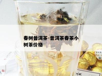 春树普洱茶-普洱茶春茶小树茶价格