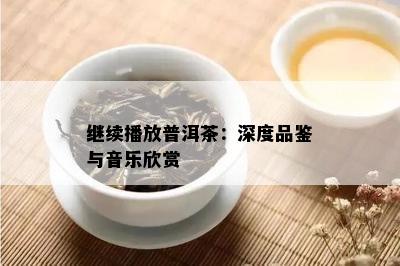 继续播放普洱茶：深度品鉴与音乐欣赏