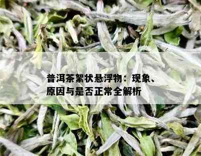 普洱茶絮状悬浮物：现象、原因与是否正常全解析