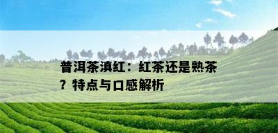 普洱茶滇红：红茶还是熟茶？特点与口感解析