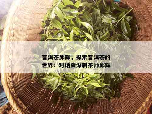 普洱茶邱辉，探索普洱茶的世界：对话资深制茶师邱辉