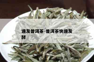 速发普洱茶-普洱茶快速发酵