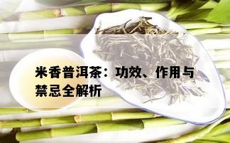 米香普洱茶：功效、作用与禁忌全解析