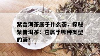 紫普洱茶属于什么茶，探秘紫普洱茶：它属于哪种类型的茶？