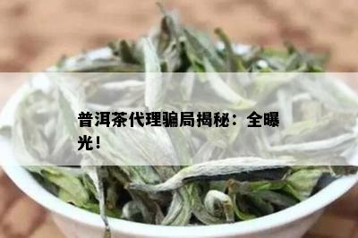 普洱茶代理骗局揭秘：全曝光！