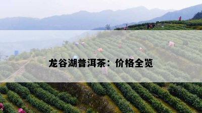 龙谷湖普洱茶：价格全览