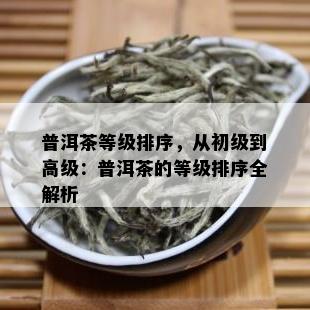 普洱茶等级排序，从初级到高级：普洱茶的等级排序全解析