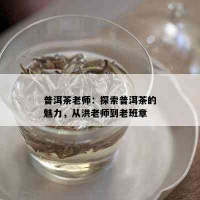 普洱茶老师：探索普洱茶的魅力，从洪老师到老班章