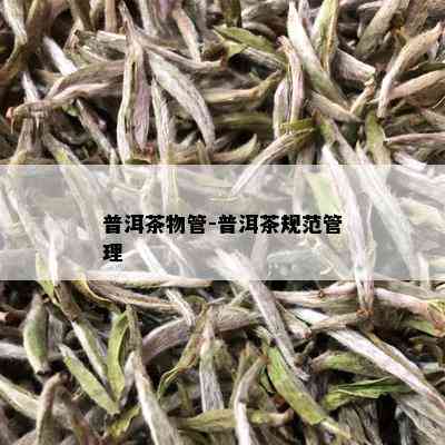 普洱茶物管-普洱茶规范管理