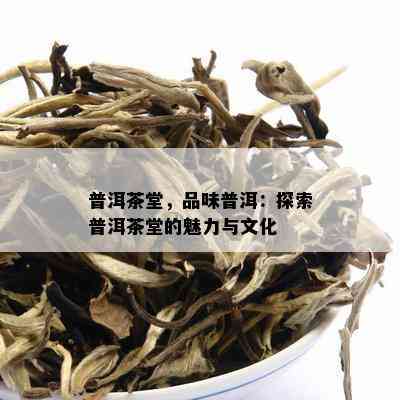 普洱茶堂，品味普洱：探索普洱茶堂的魅力与文化