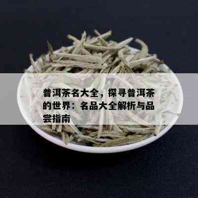 普洱茶名大全，探寻普洱茶的世界：名品大全解析与品尝指南