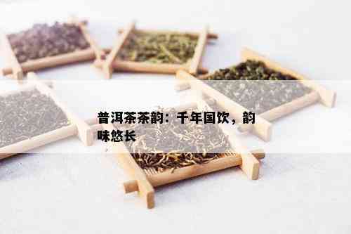 普洱茶茶韵：千年国饮，韵味悠长