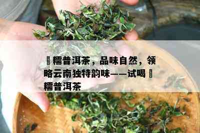 垻糯普洱茶，品味自然，领略云南独特韵味——试喝垻糯普洱茶