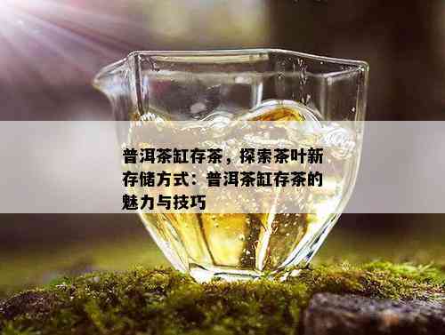 普洱茶缸存茶，探索茶叶新存储方式：普洱茶缸存茶的魅力与技巧